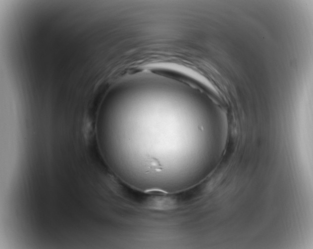 X0000099980327200805301358