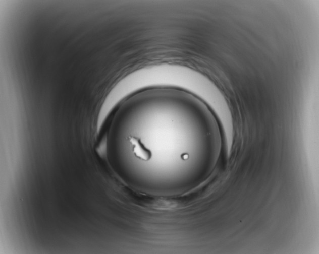 X0000099980328200805301358