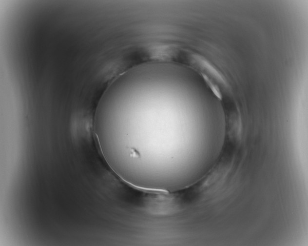 X0000099980329200805301358