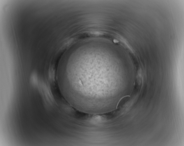 X0000099980330200805301358