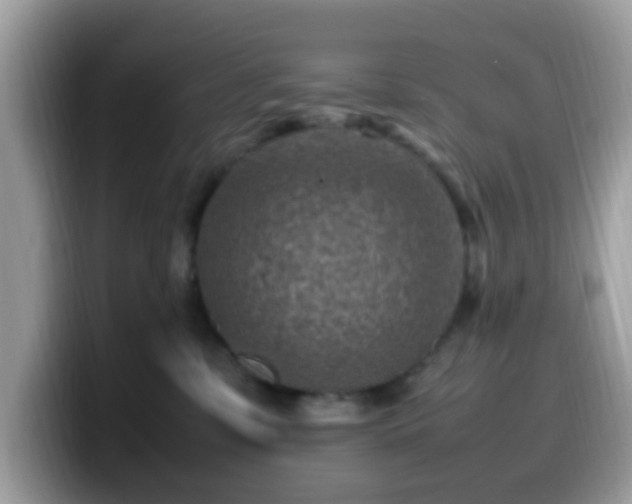 X0000099980331200805301358