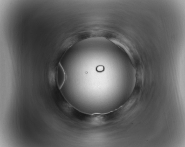 X0000099980333200805301358