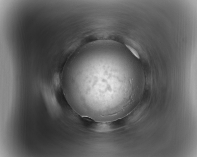 X0000099980335200805301358