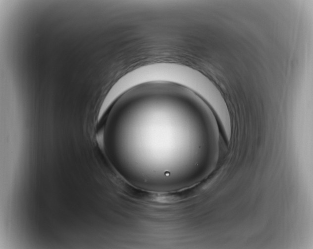 X0000099980336200805301358