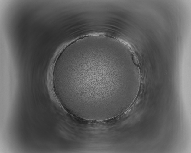 X0000099980337200805301358