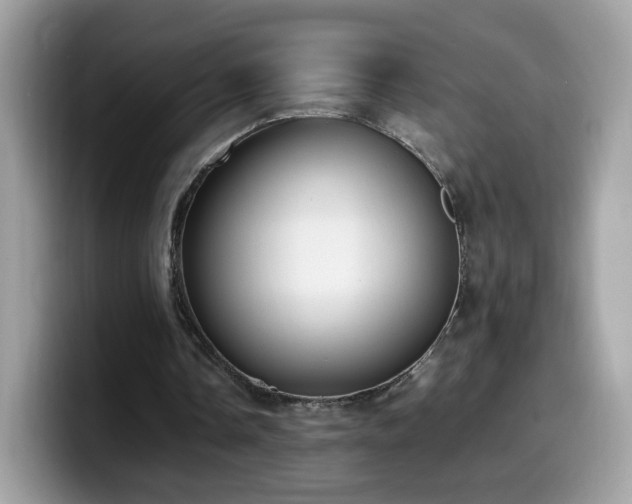 X0000099980338200805301358