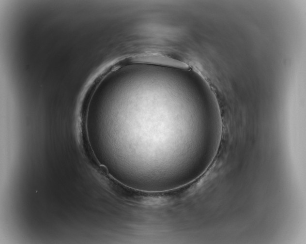 X0000099980342200805301358