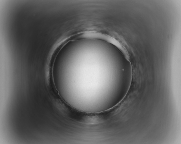 X0000099980344200805301358