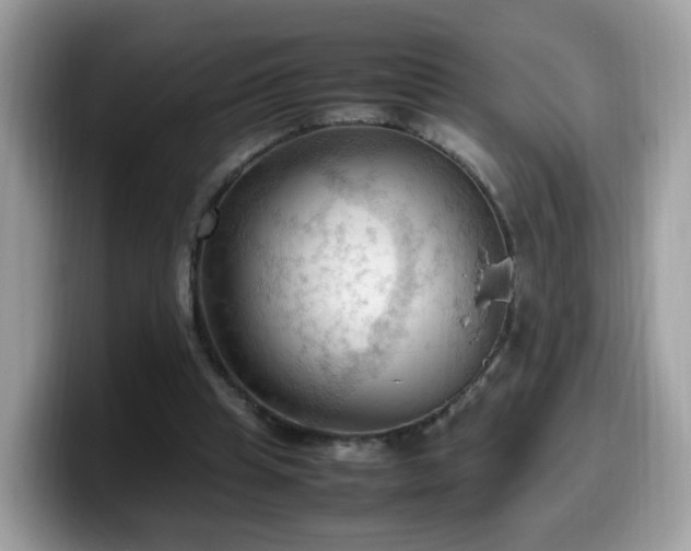 X0000099980345200805301358