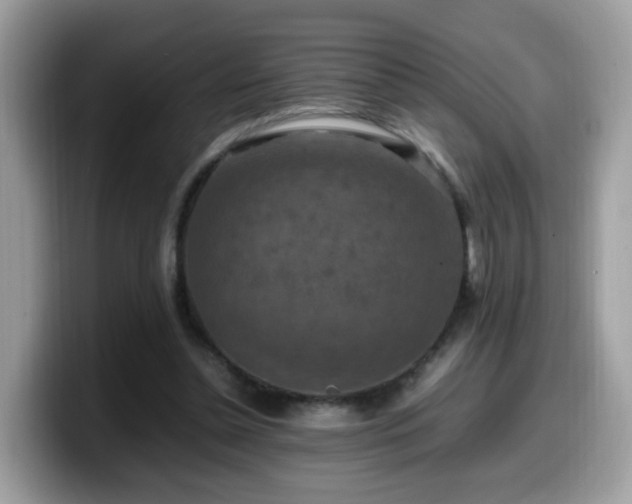 X0000099980348200805301358