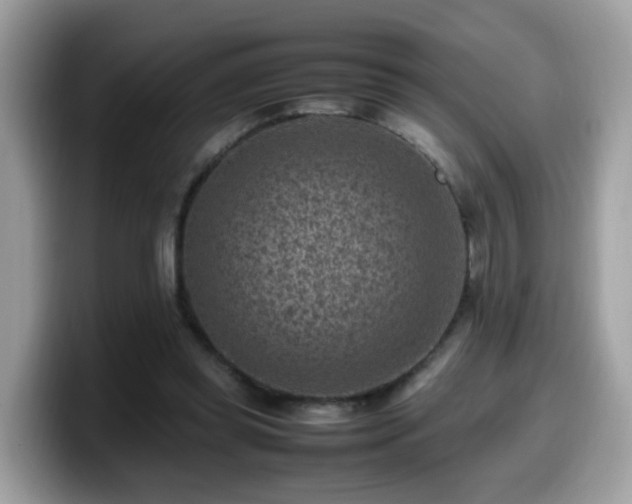 X0000099980349200805301358