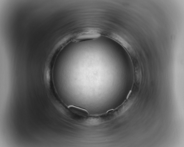 X0000099980350200805301358