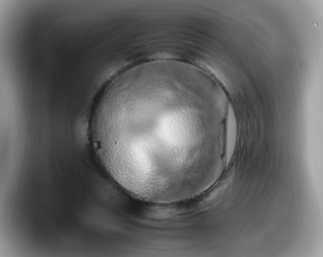 X0000099980351200805301358