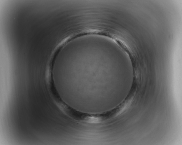 X0000099980352200805301358