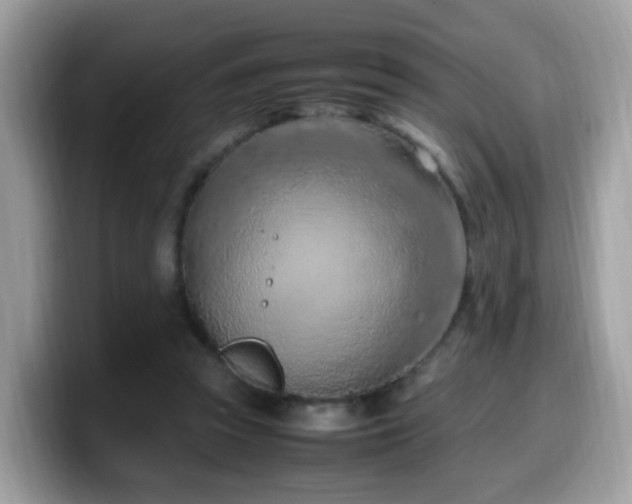 X0000099980353200805301358