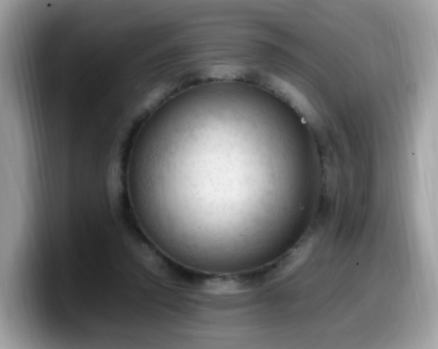 X0000099980354200805301358