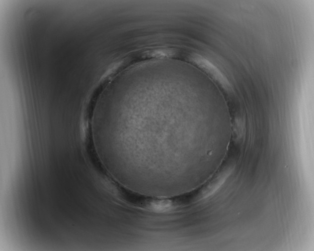 X0000099980355200805301358