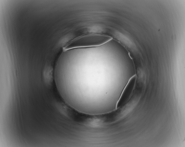 X0000099980356200805301358