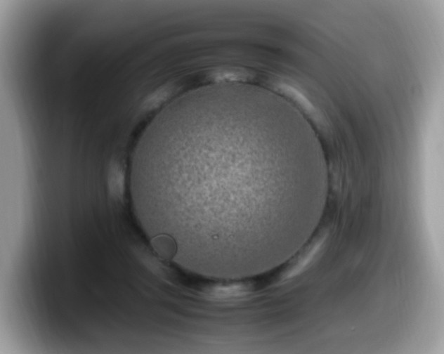 X0000099980357200805301358