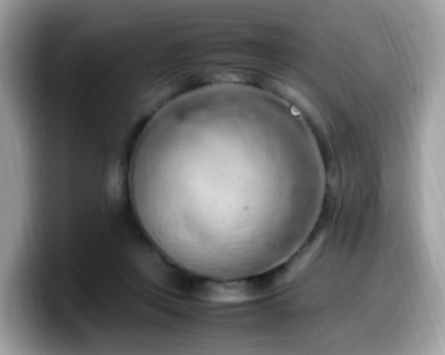 X0000099980359200805301358