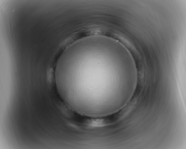 X0000099980361200805301358