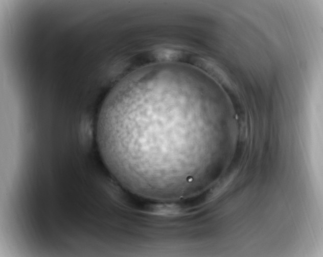 X0000099980363200805301358