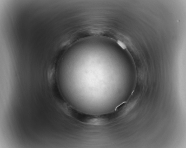 X0000099980364200805301358