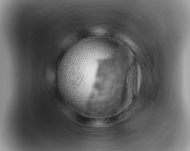 X0000099980365200805301358