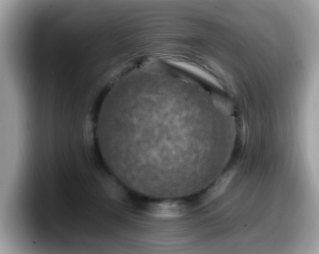 X0000099980366200805301358