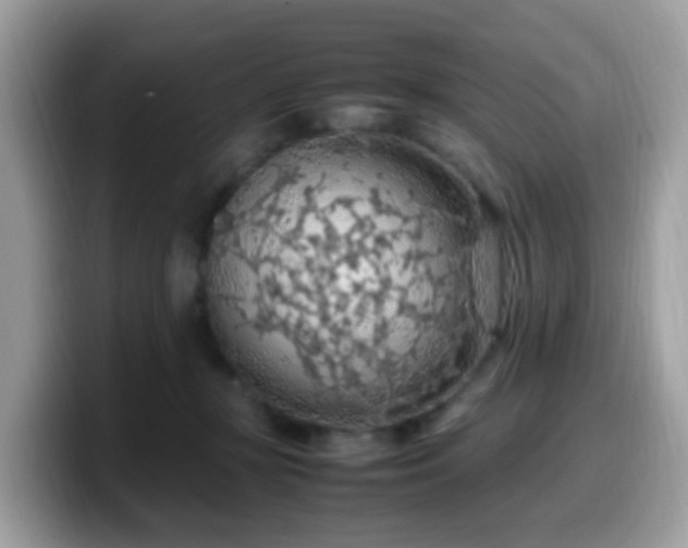 X0000099980367200805301358