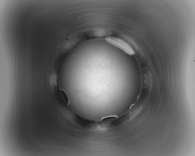 X0000099980368200805301358