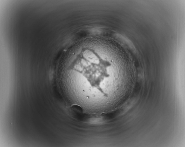 X0000099980369200805301358