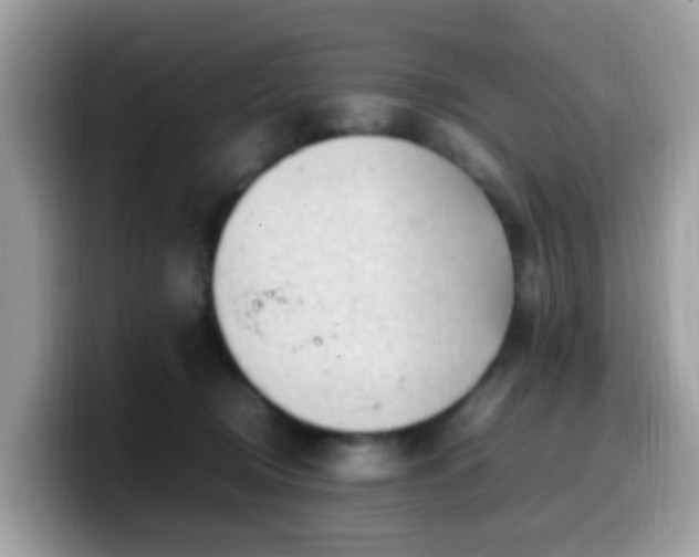 X0000099980370200805301358