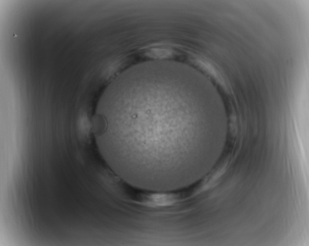 X0000099980371200805301358