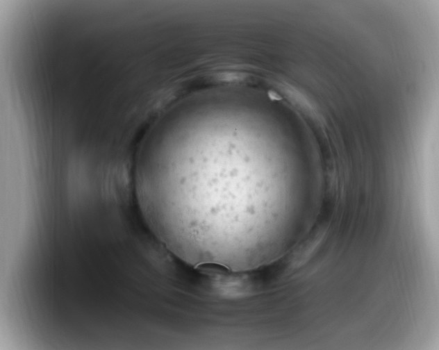 X0000099980373200805301358