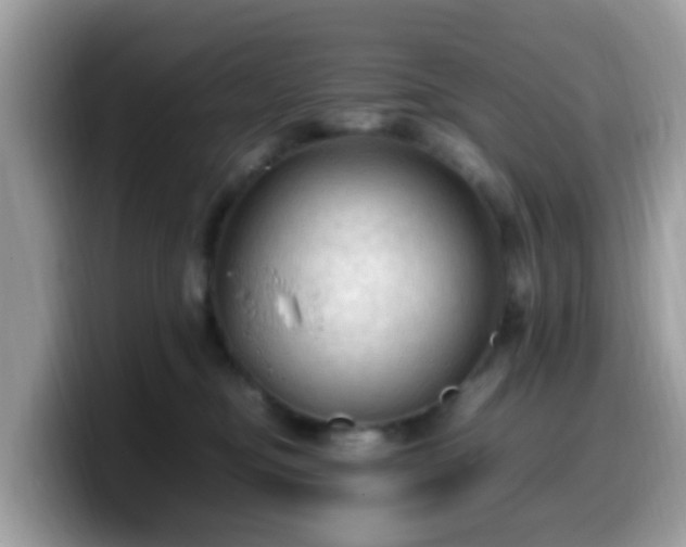 X0000099980374200805301358