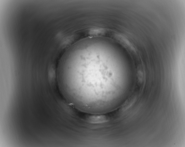 X0000099980375200805301358