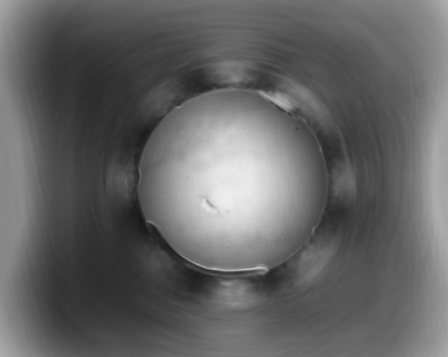 X0000099980376200805301358