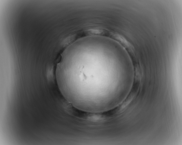 X0000099980377200805301358