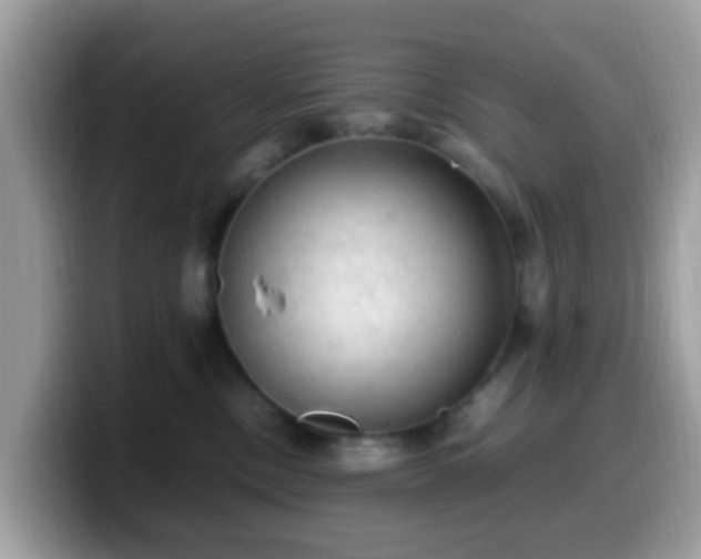 X0000099980378200805301358