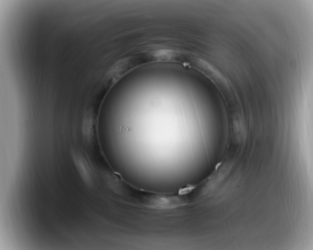 X0000099980379200805301358