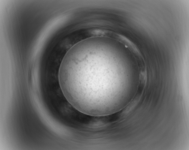 X0000099980381200805301358