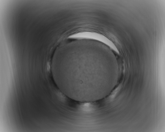 X0000099980382200805301358