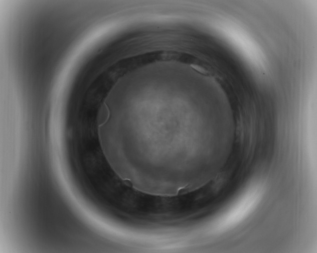 X0000099980383200805301358