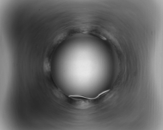 X0000099980384200805301358