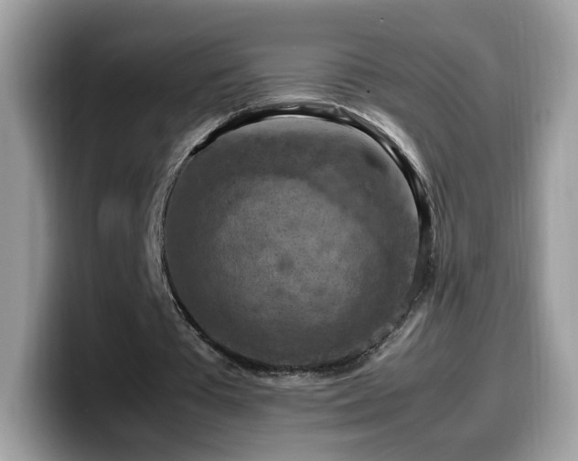 X0000099980385200805301358