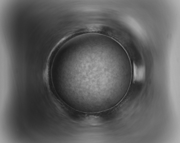 X0000099980387200805301358