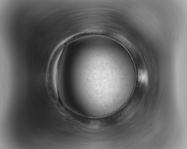 X0000099980388200805301358