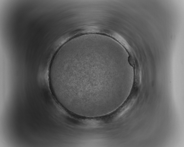 X0000099980389200805301358