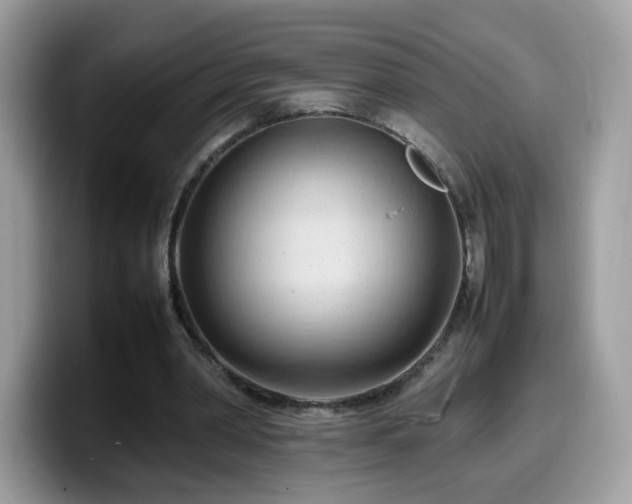 X0000099980390200805301358